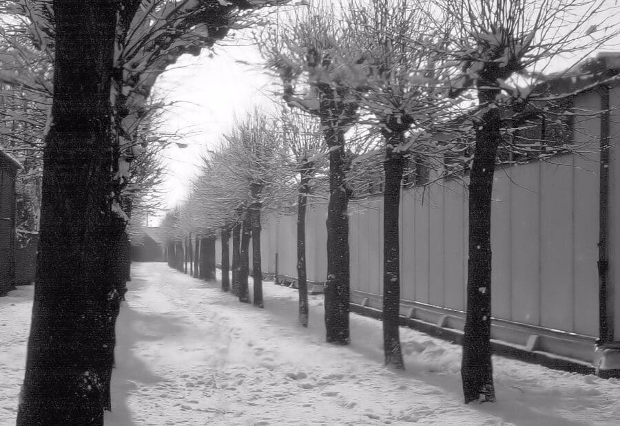 Photo d’archive de Nesle