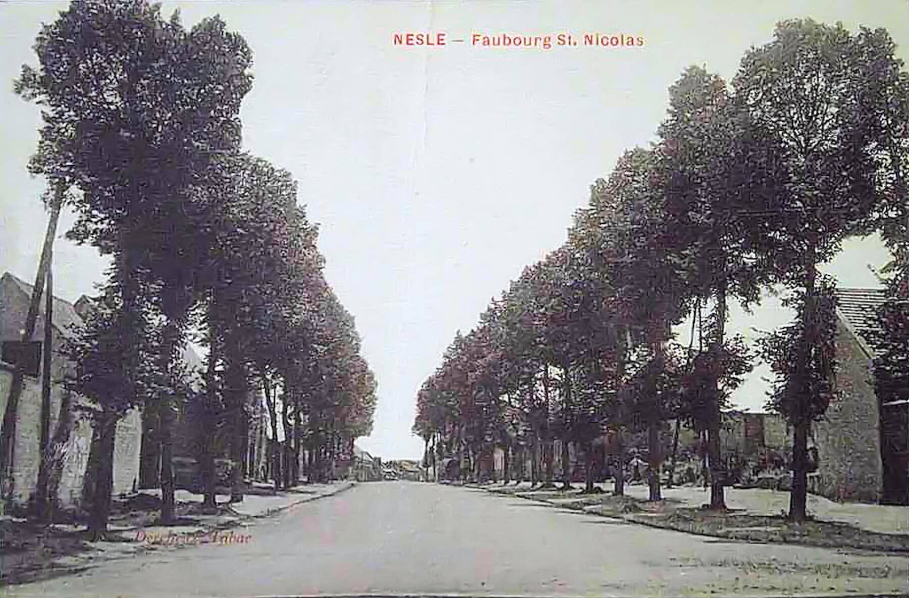 48 Nicolas Fg