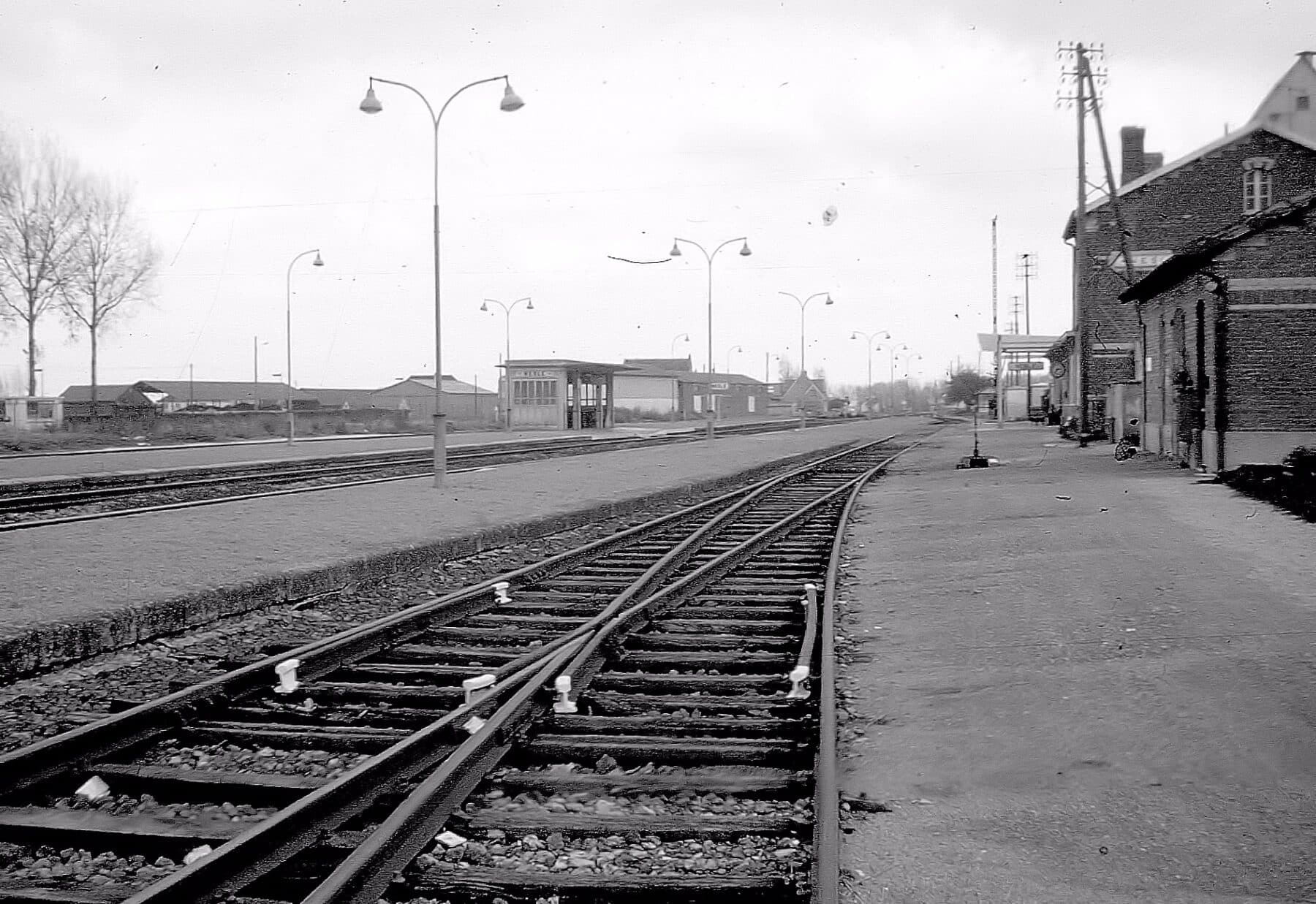53 gare 60 02