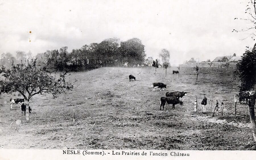 Photo d’archive de Nesle