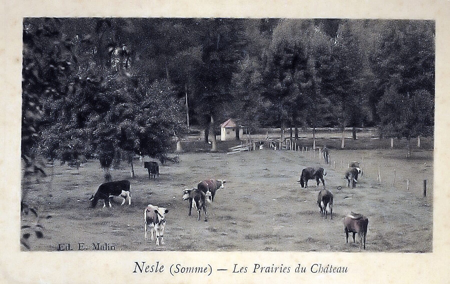 66 chateau paririe