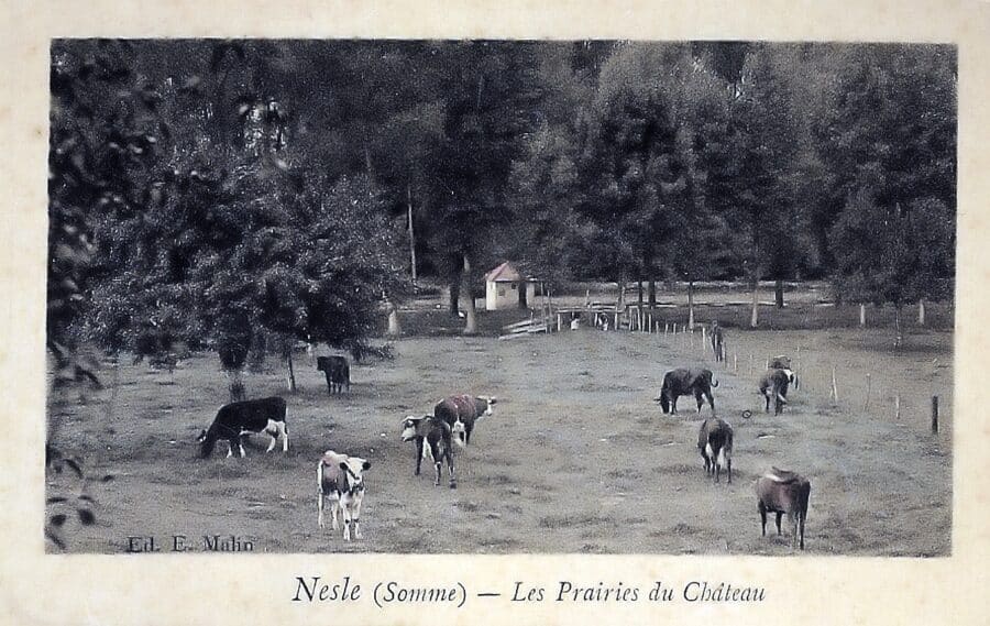 Photo d’archive de Nesle