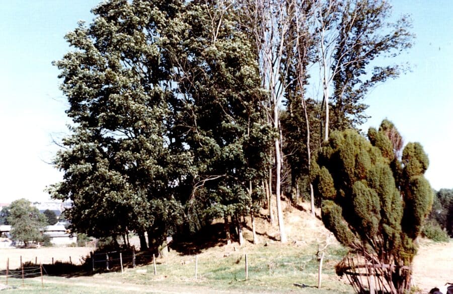 Photo d’archive de Nesle
