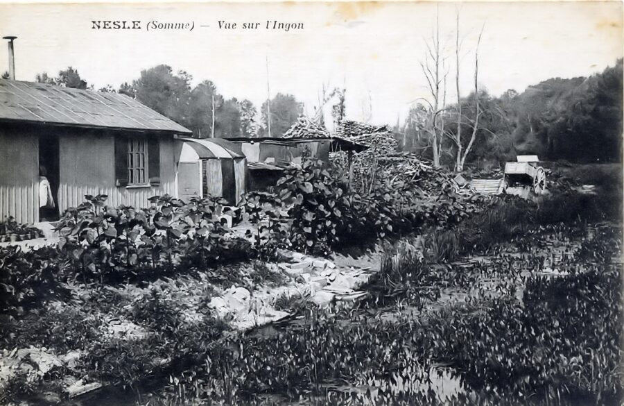 Photo d’archive de Nesle